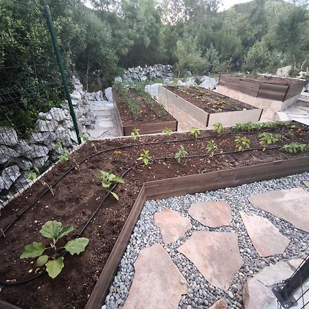 Villa Ilir Neum Exteriér fotografie