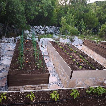 Villa Ilir Neum Exteriér fotografie